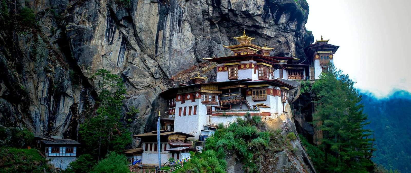 Experience Phobjikha Valley