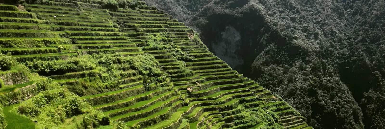 Experience Cordillera Region
