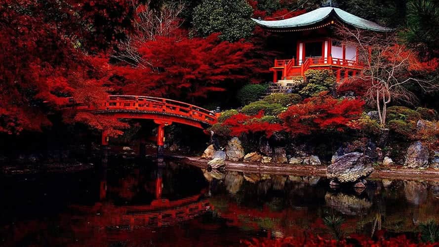 Serene Zen temple gardens and sacred koi ponds