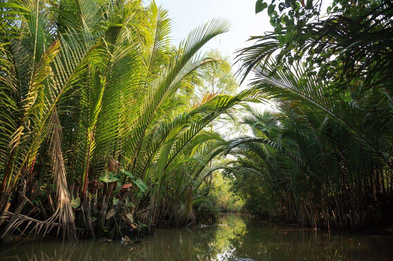 Mekong Delta - Photo 1