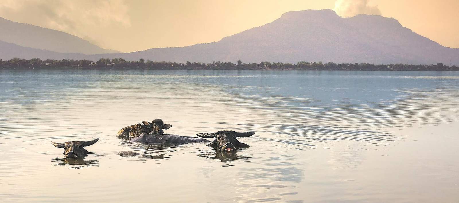 Laos and Cambodia Highlights