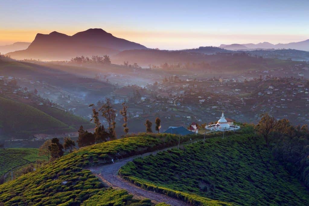 Enchanting Sri Lanka Family Adventure - Scene 1