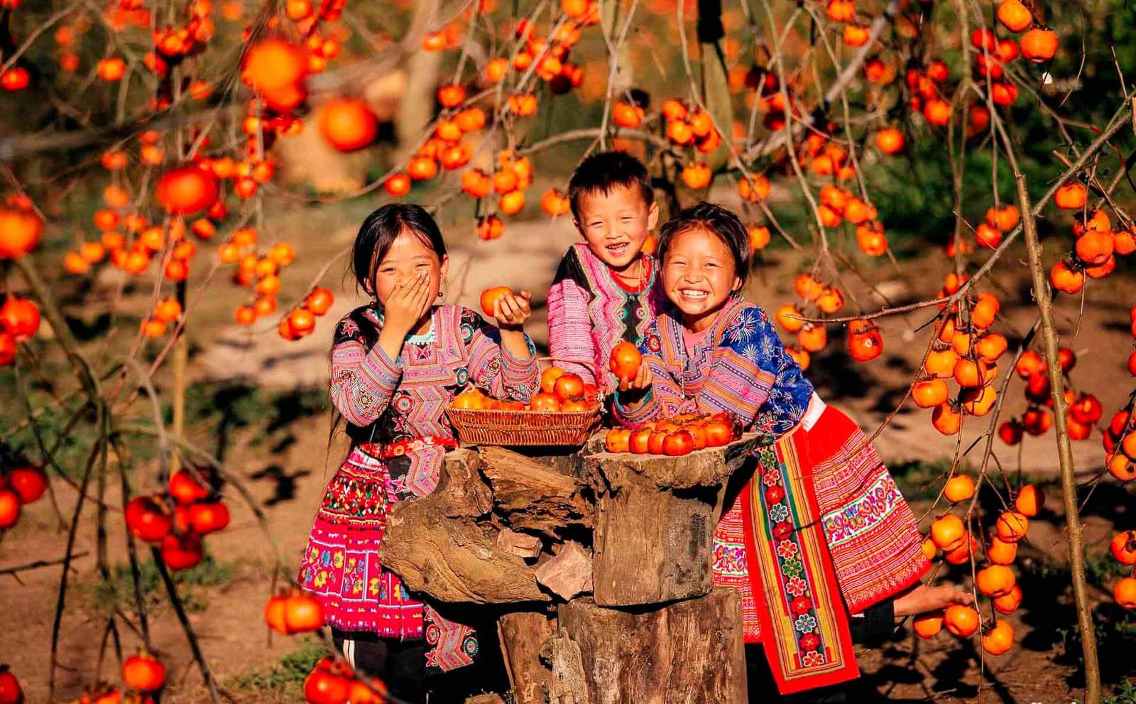 Crossing the border: Traveling to Several Countries in Southeast Asia