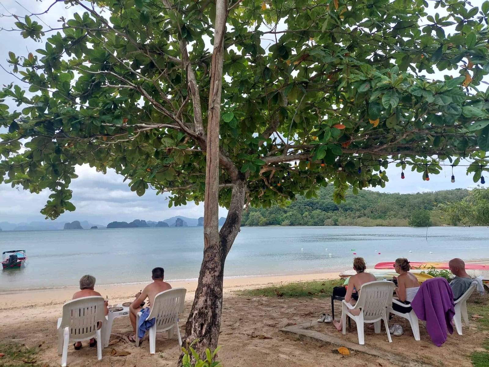 Southern Laos Adventure: Nature and Culture Immersion - Scene 3