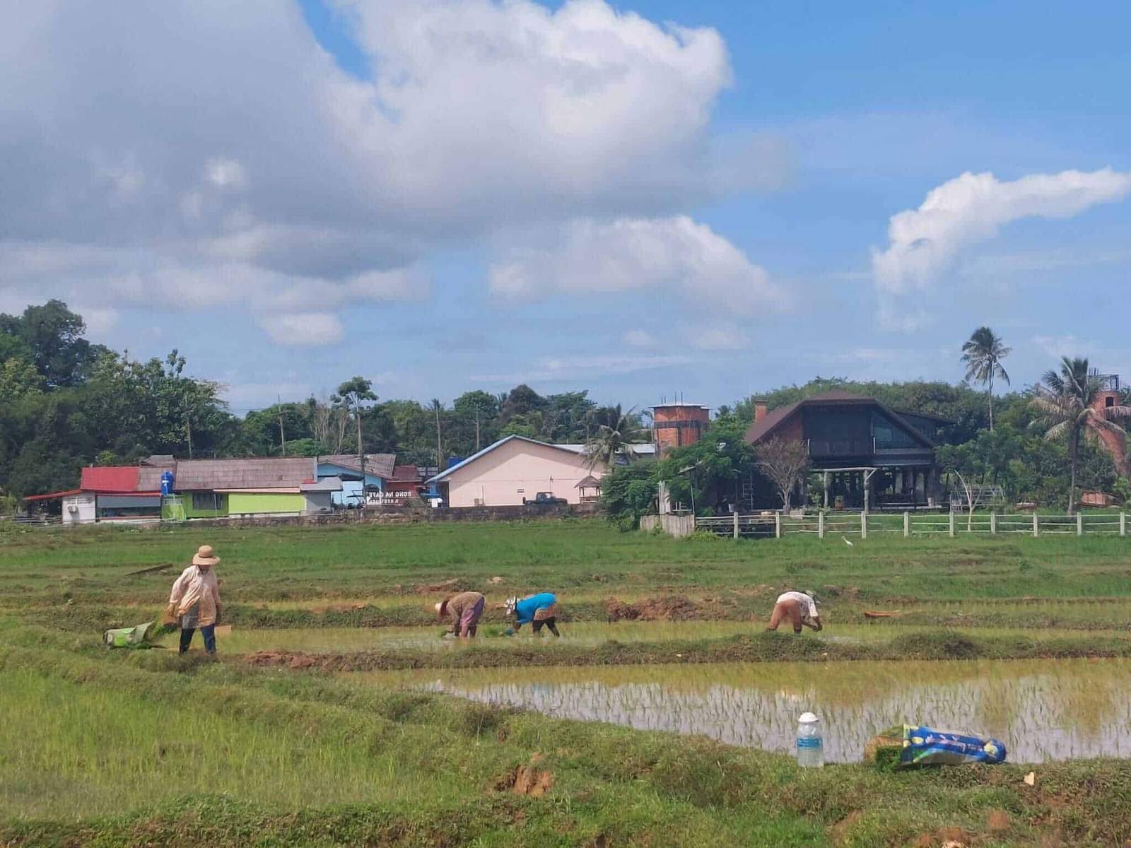 Southern Laos Adventure: Nature and Culture Immersion - Scene 2