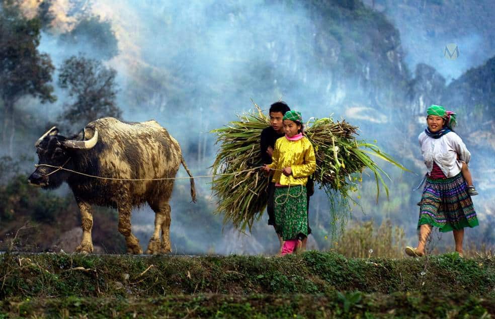 Vietnam’s Highlands and Island Retreats - Scene 4