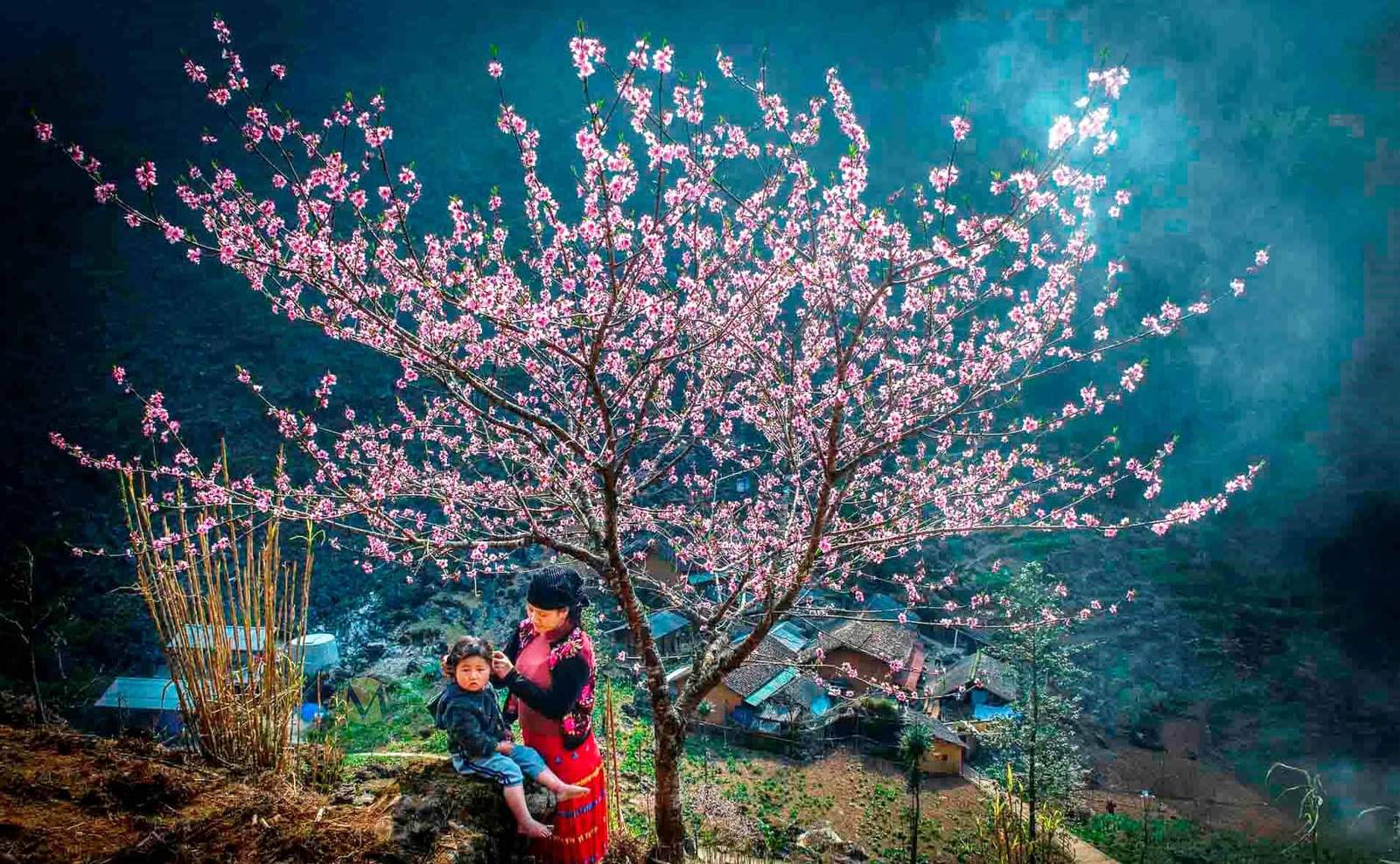 Vietnam’s Highlands and Island Retreats - Scene 2