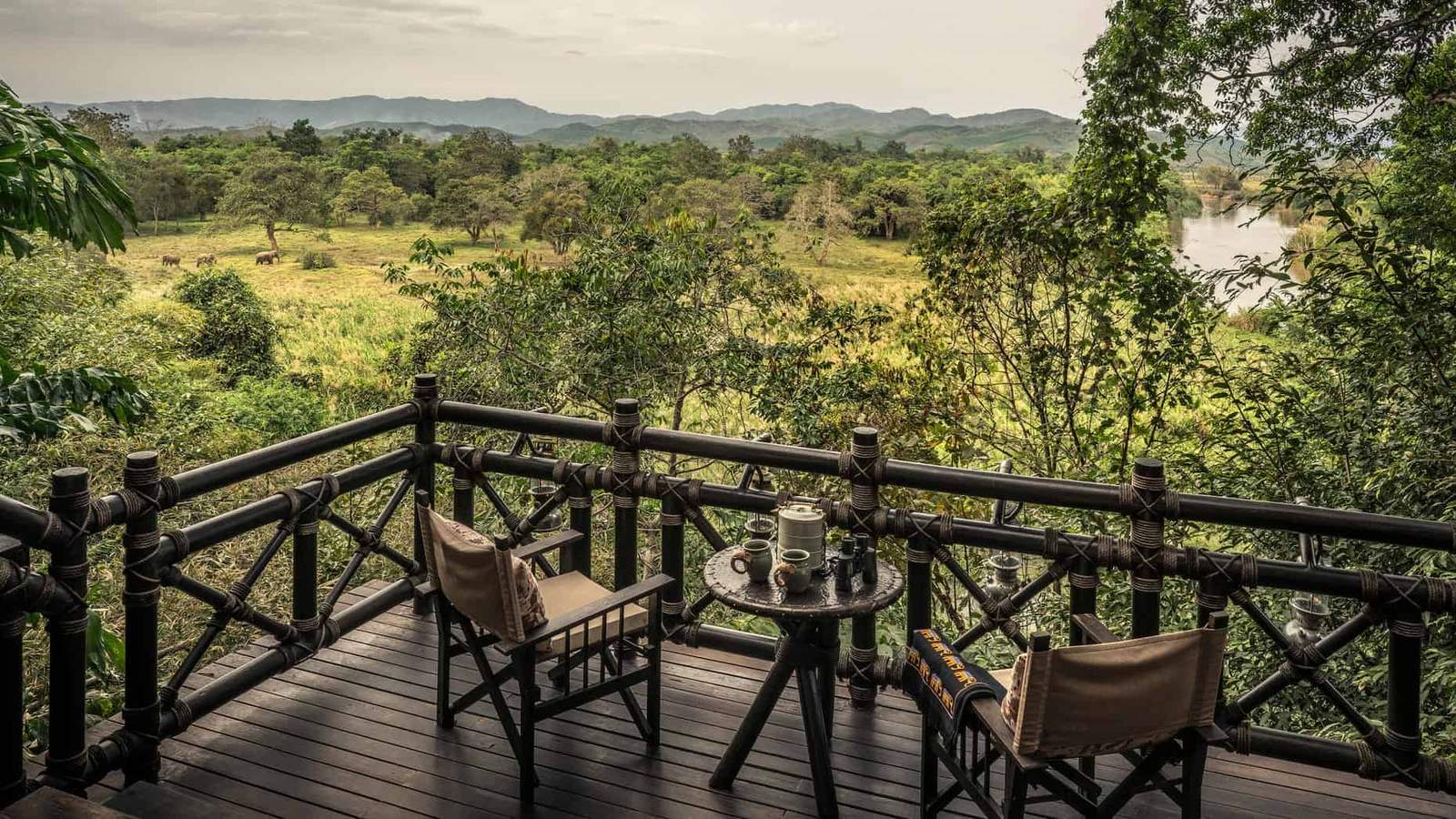 Luxury Suite & Property Views