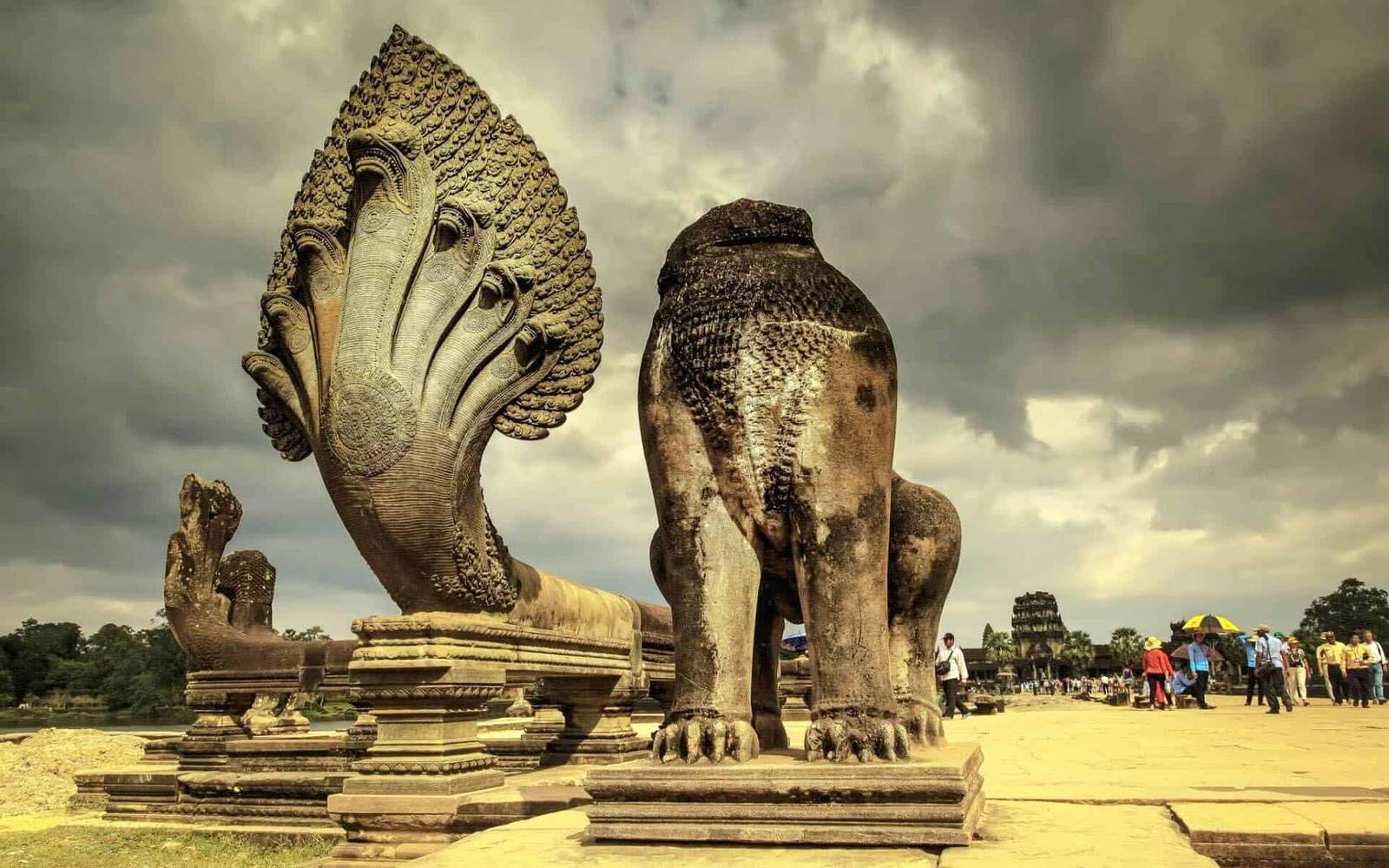 Cambodian Wildlife & Khmer Kingdom - Scene 4