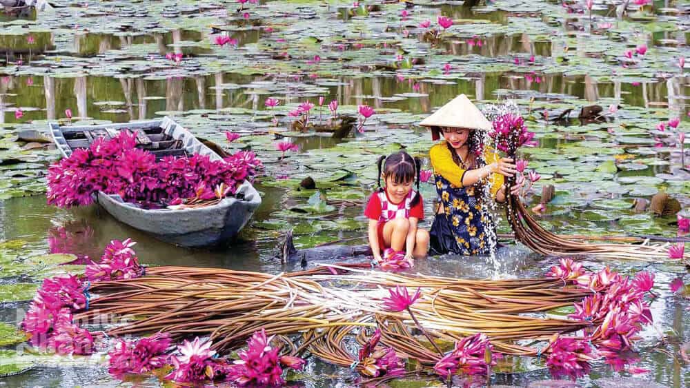 Cycling Through the Mekong in a Day Tour - Scene 14