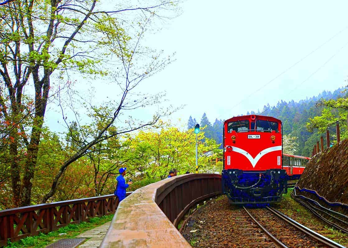 Alishan scenery
