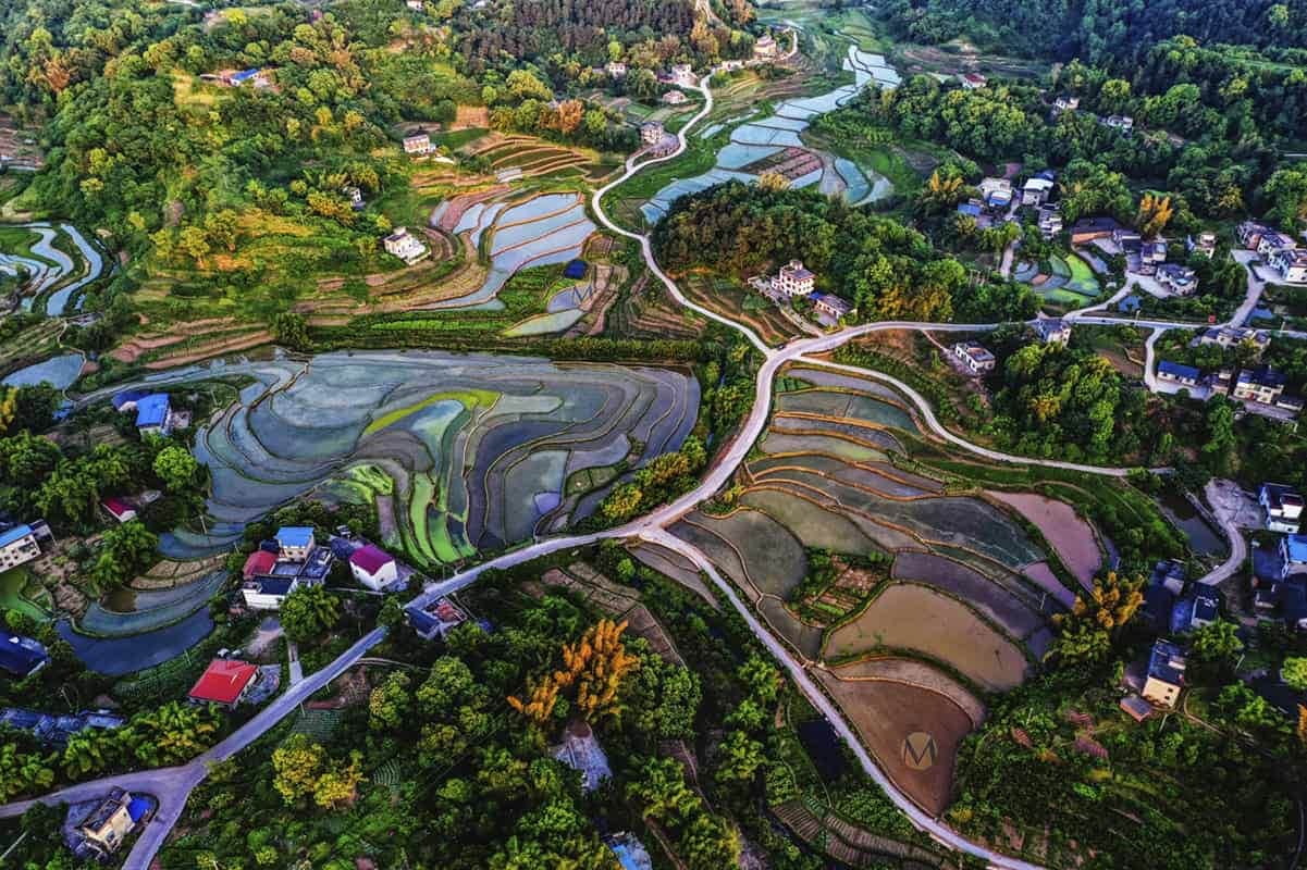Bali & Indonesia