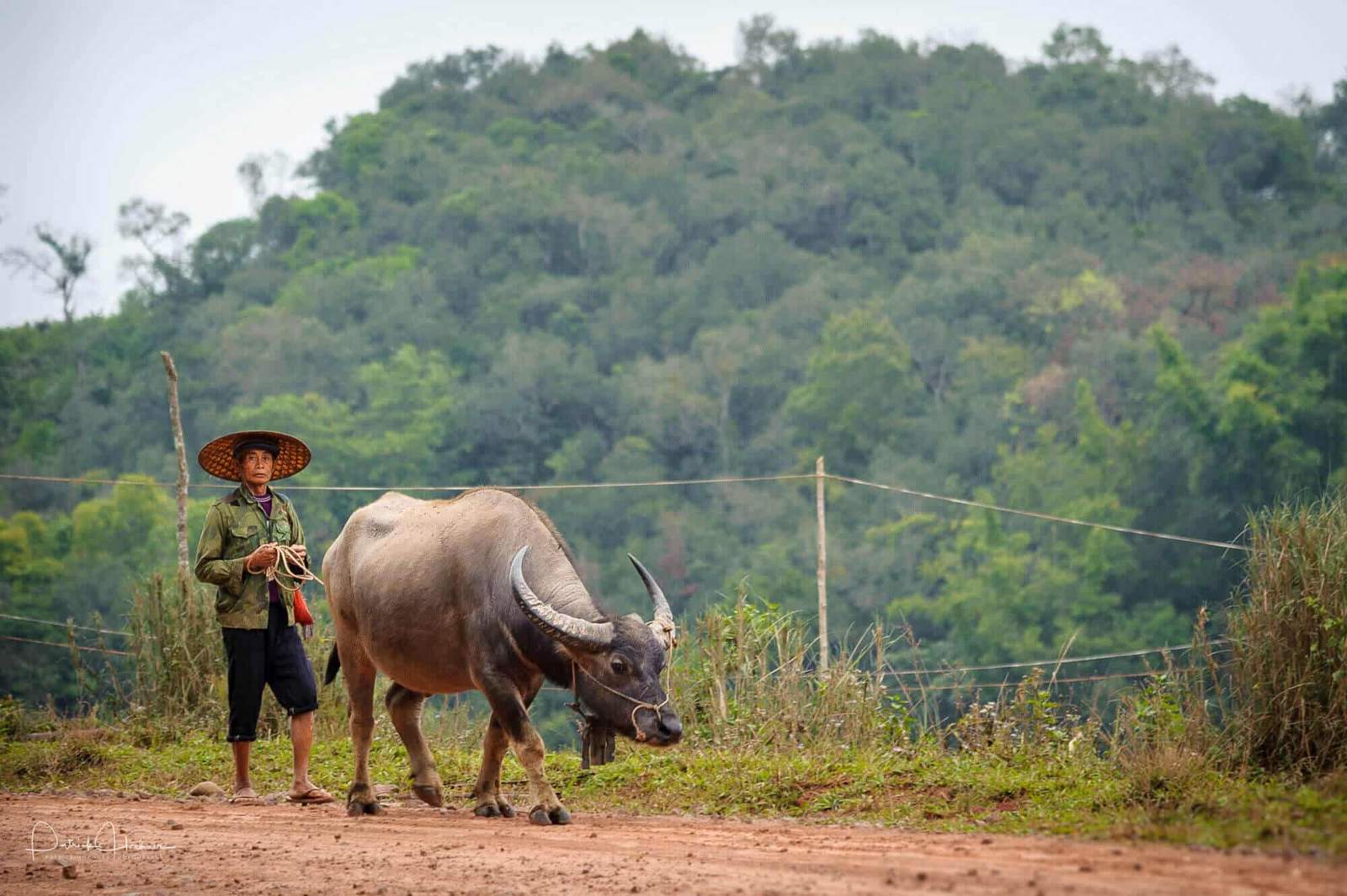 Experience Phongsali