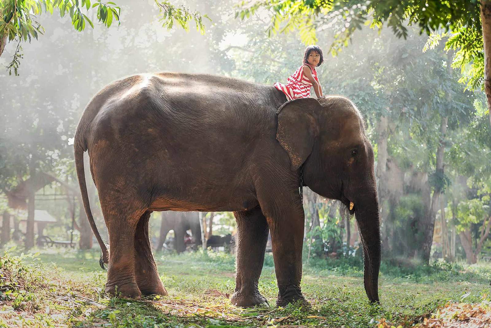 Highlights of Laos - Scene 4