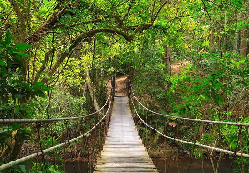 Khao Yai scenery