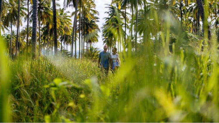 Indonesian Wildlife and Cultural Journey