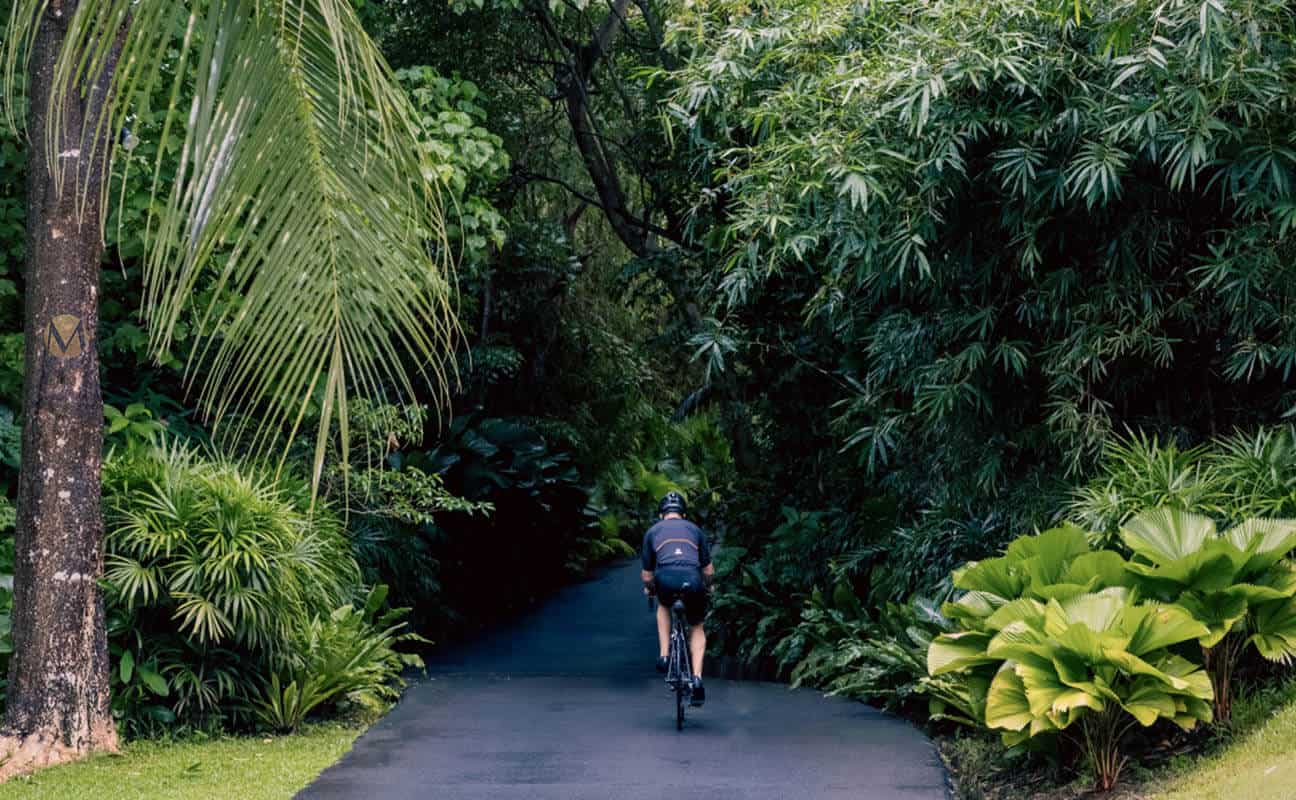 Phuket Safari Tour - Scene 2