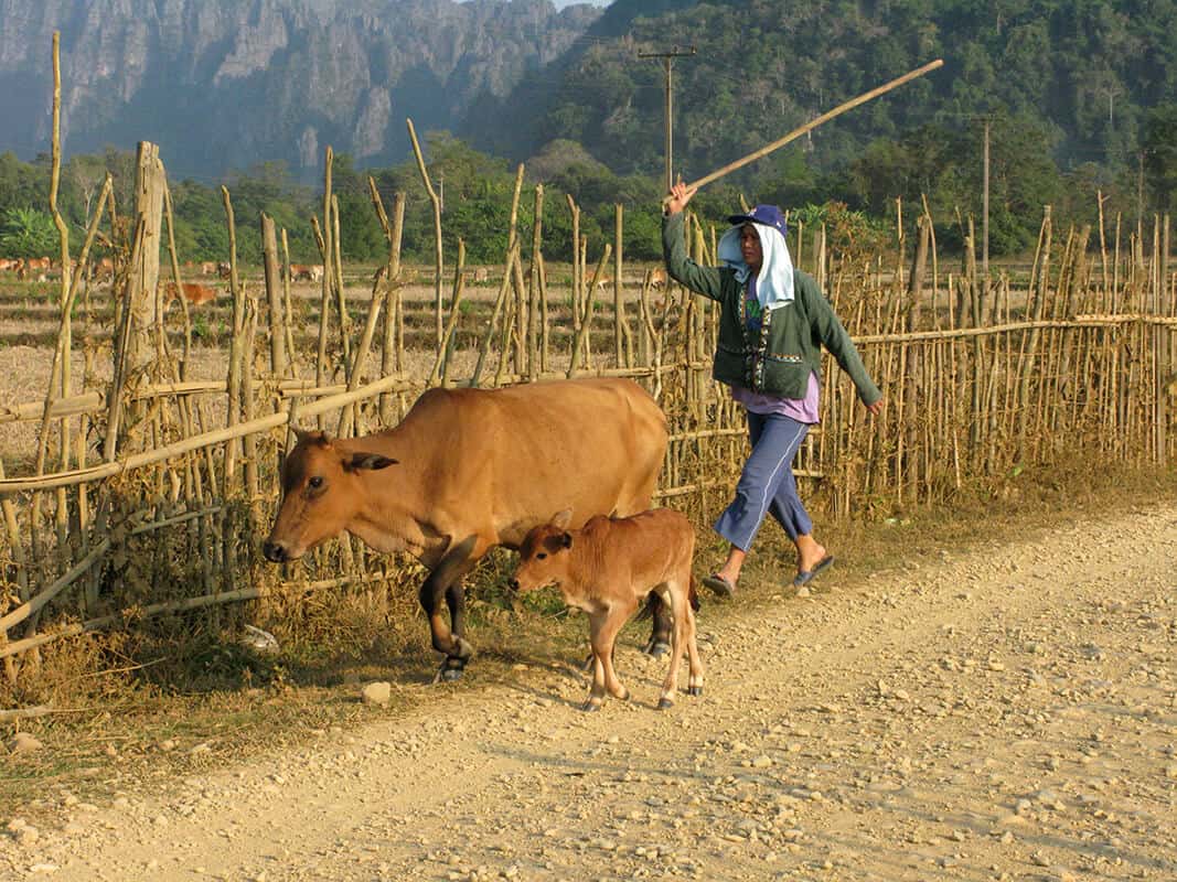 Vang Vieng scenery