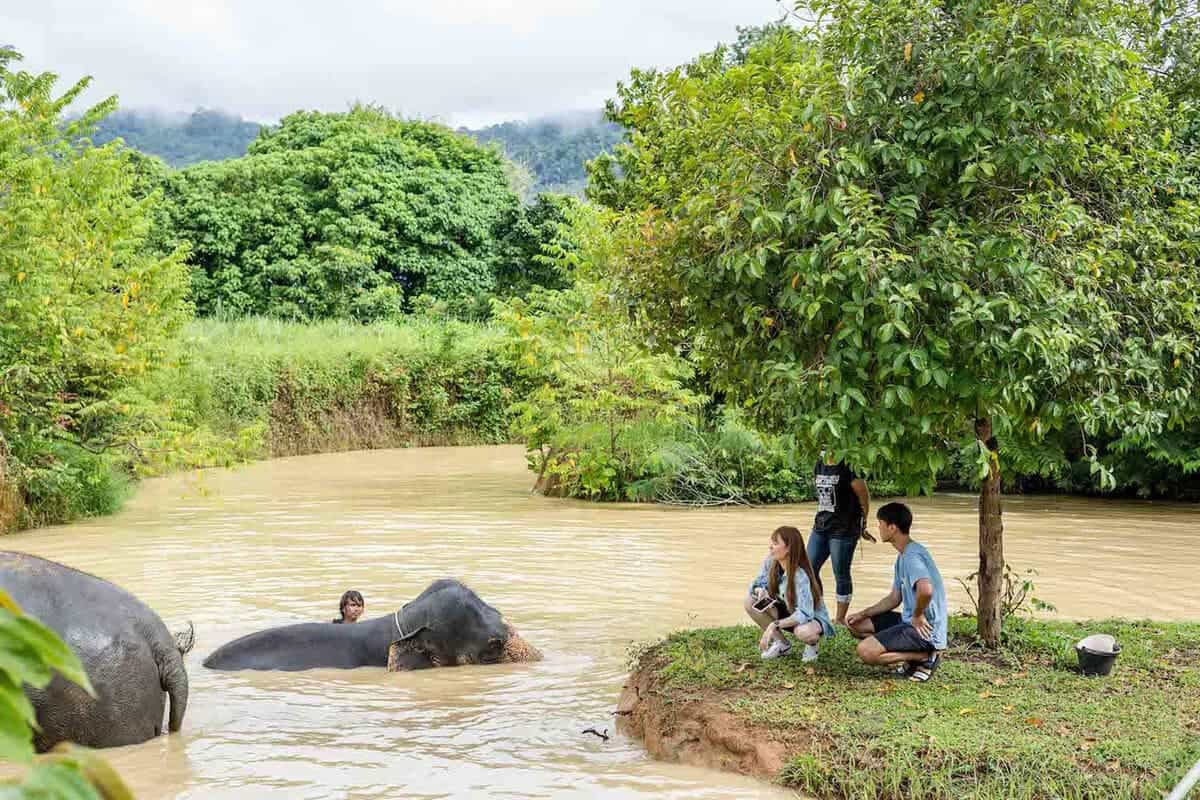 Thailand family adventure