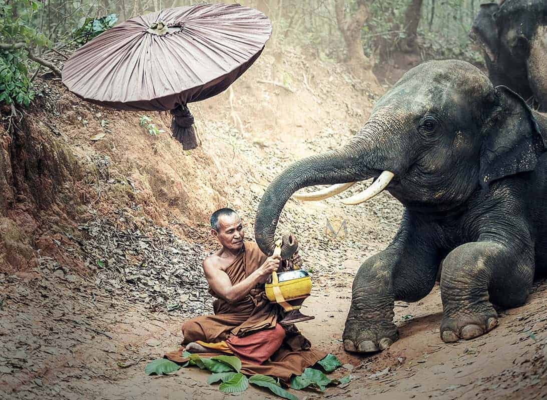 Thailand beach & rainforest escape - Scene 3