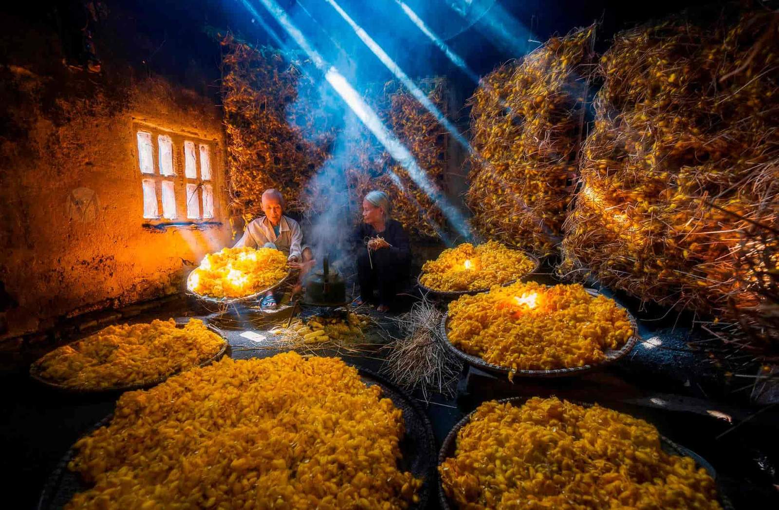 Traditional silk making process with silkworm cocoons in Vietnam
