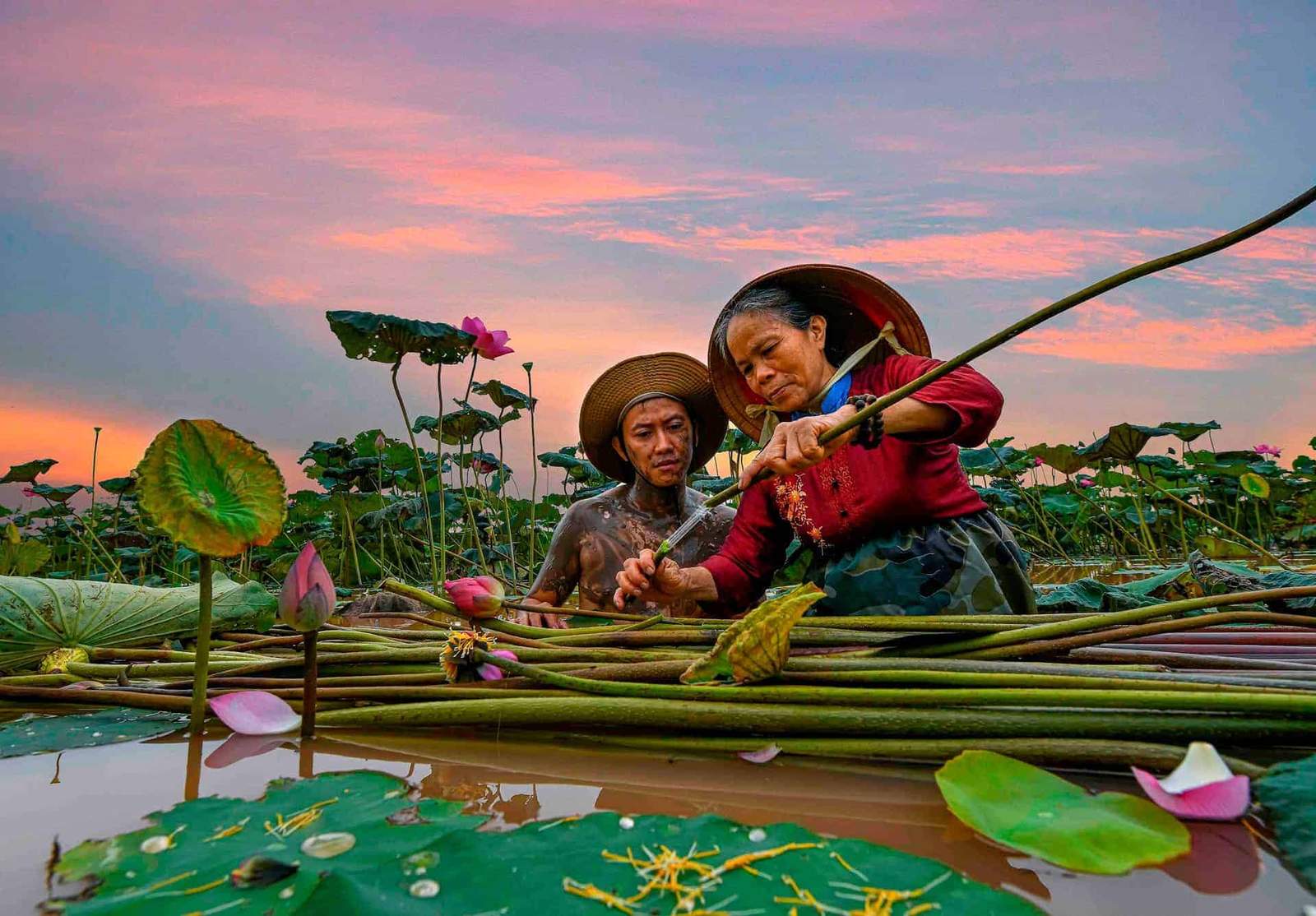 Classic Vietnam: Hanoi, Halong Bay, Hue & Hoi An Tour - Scene 7