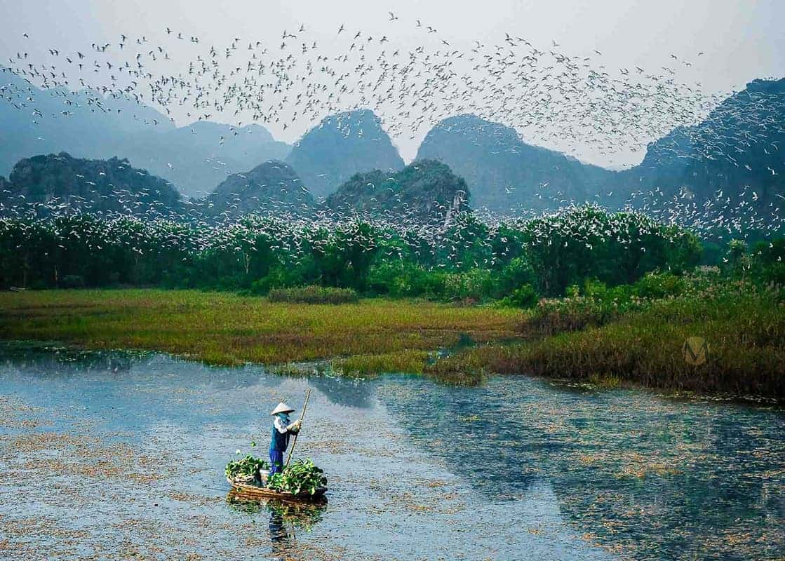 Van Long Nature Reserve with limestone mountains and boat in Ninh Binh Vietnam