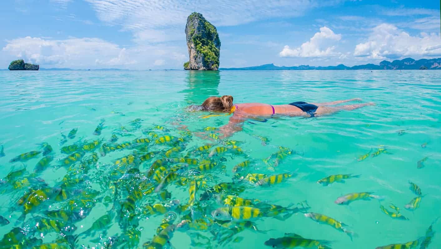 Krabi Explorer