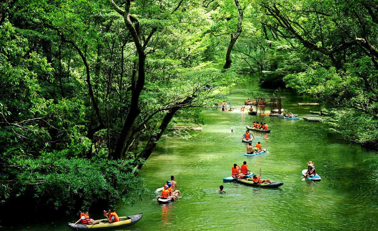 People kayaking on a lush green river in a forest.