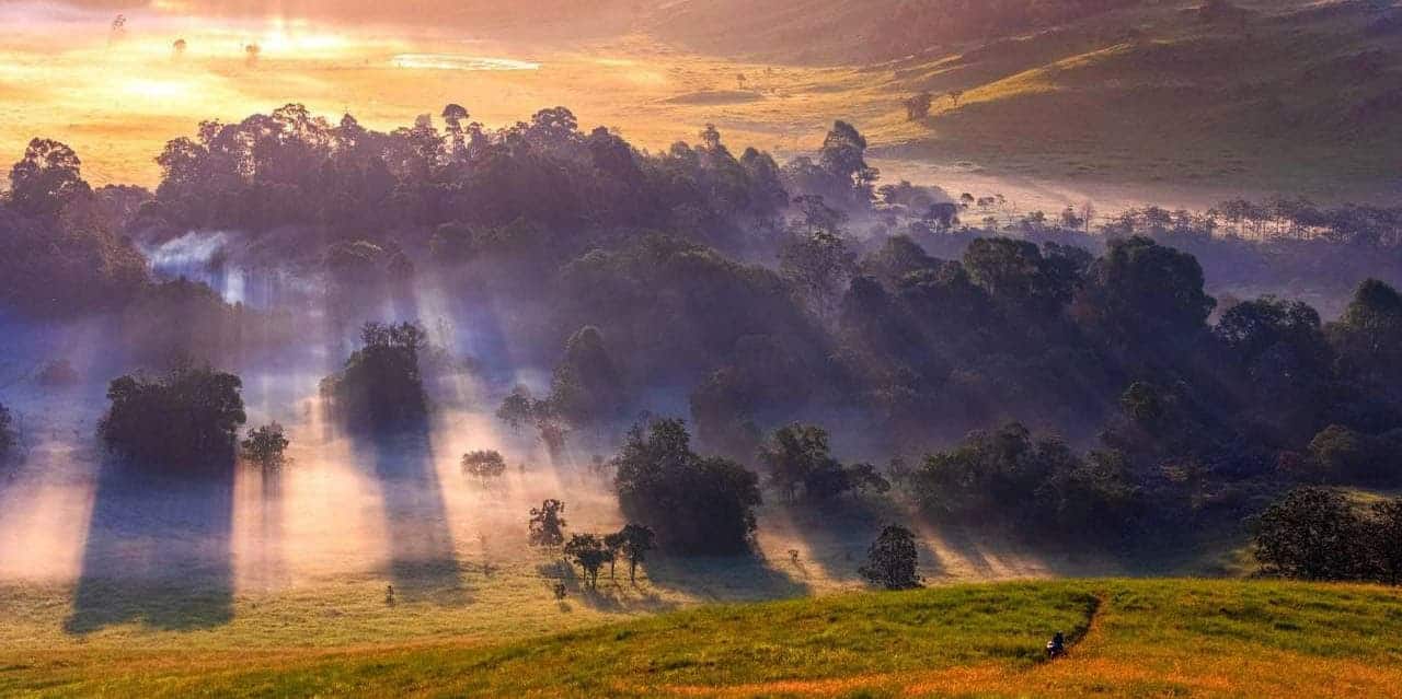 Sunrise illuminating a dense forest with rays of sunlight breaking through trees.