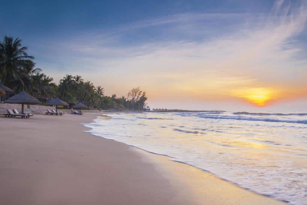 Beach sunset with palm trees and lounge chairs at My Way Travel US.