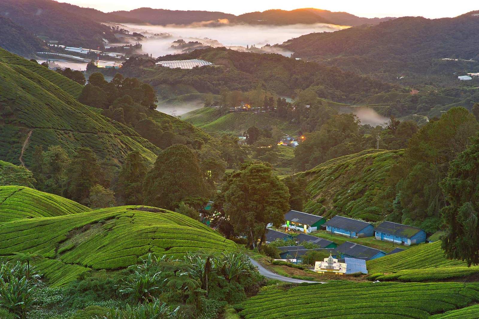 Grand Tour of Malaysia: City, Jungle & Beach