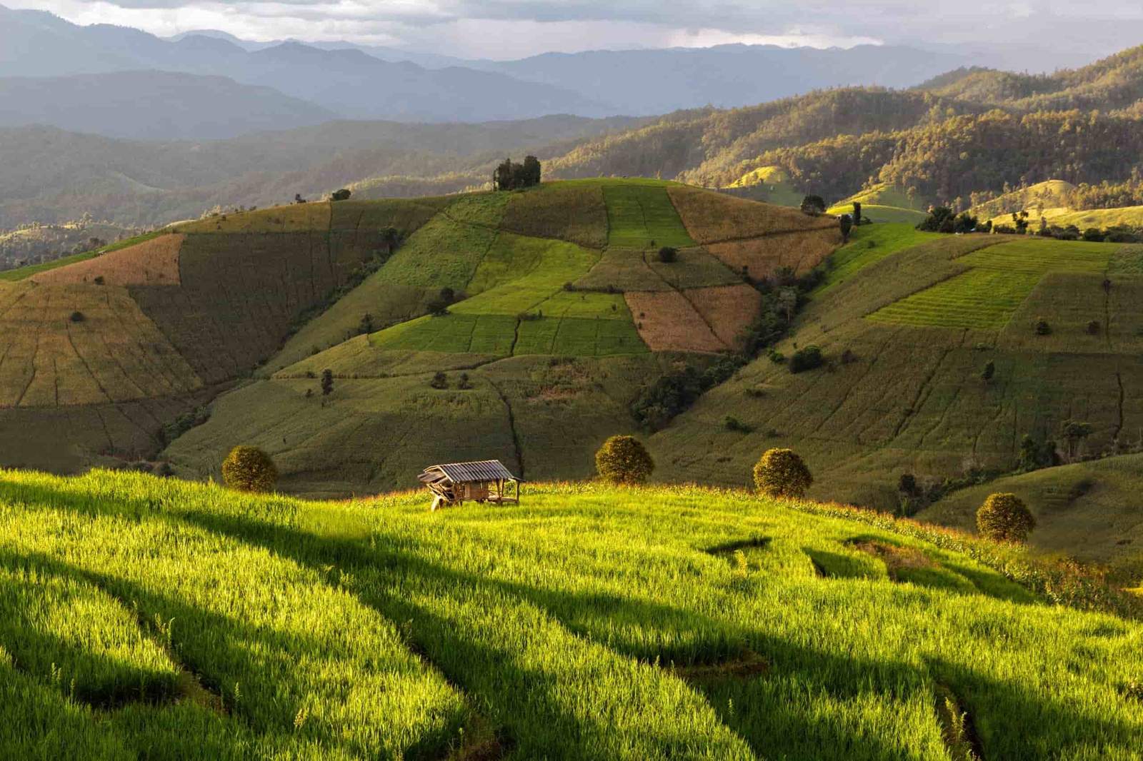 Chiang Mai Itinerary: 3 Days of Temples, Markets and Mountains