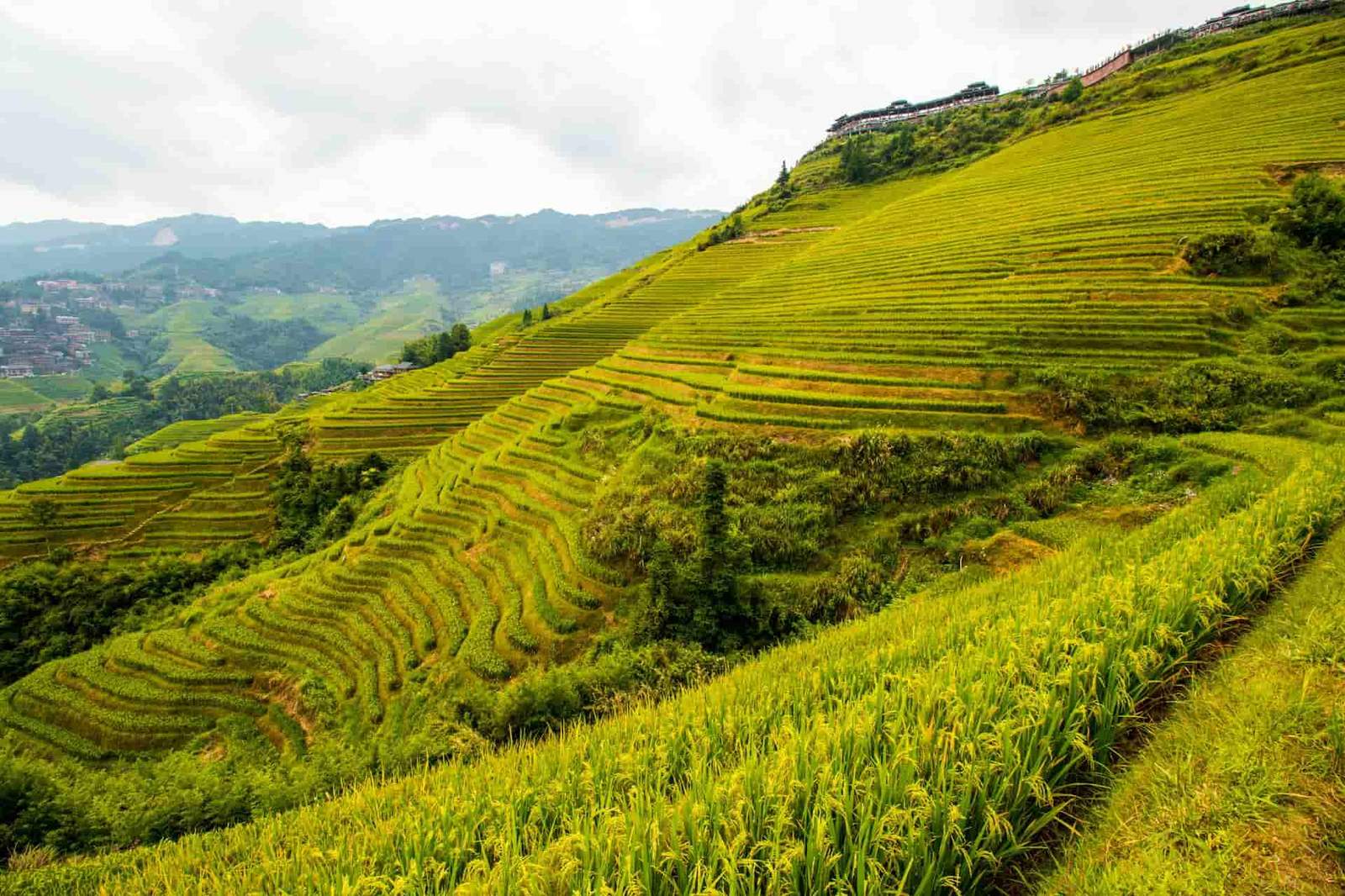 China 240-Hour Visa-Free Transit: The Complete Discerning Guide