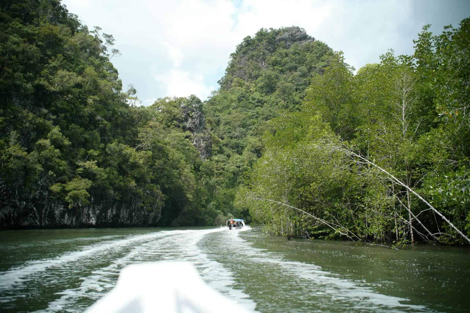 Tropical river with lush green trees and a boat cruising through the water.
