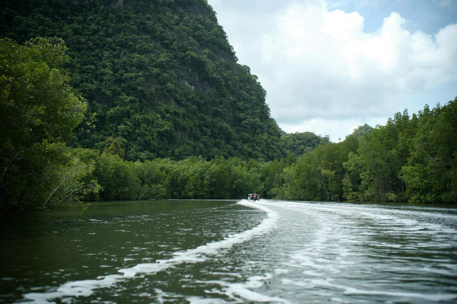 River tour through lush green forests and scenic mountains.