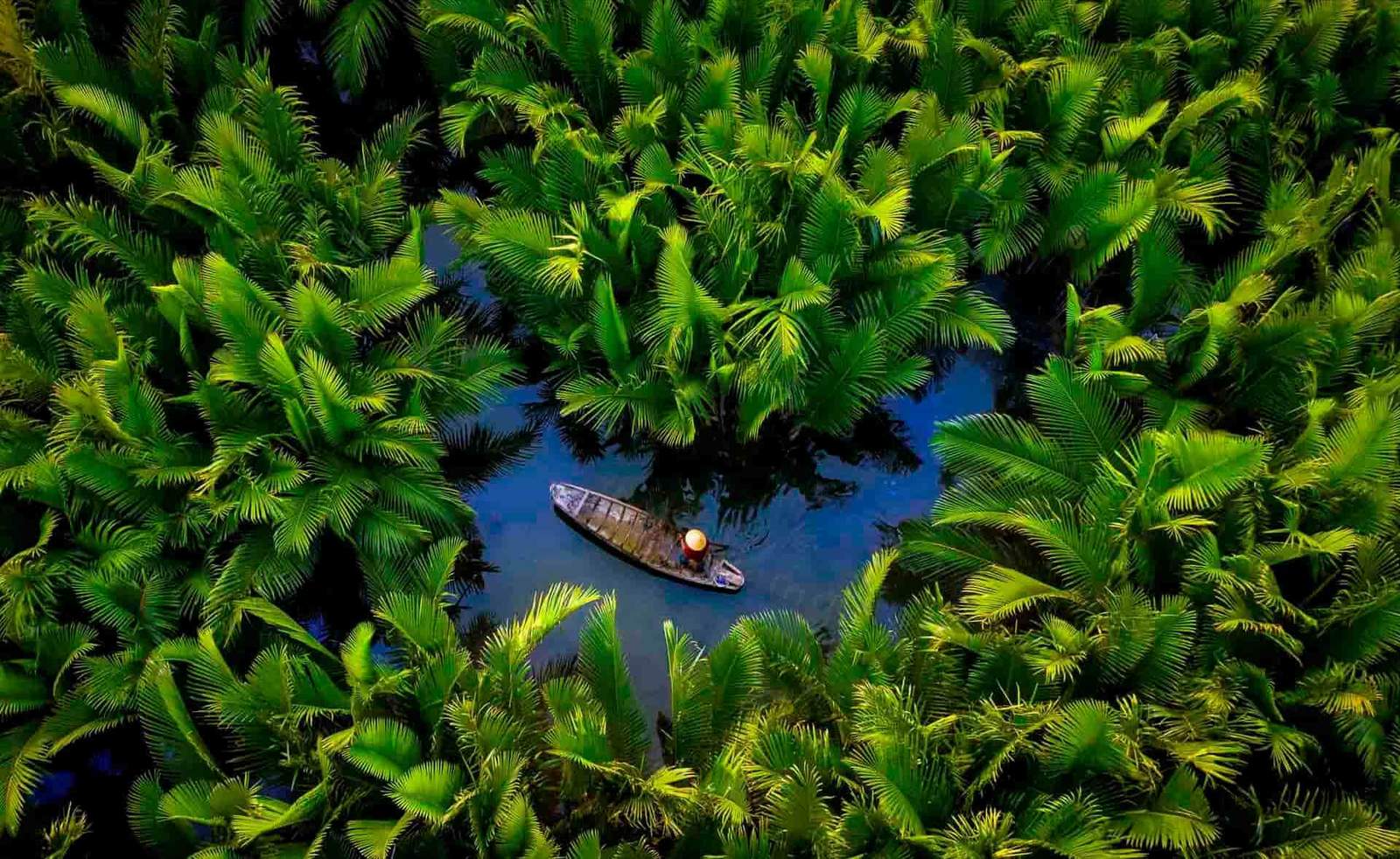 Best Time to Travel to Vietnam and Cambodia: Which Months Work for Both (2026)