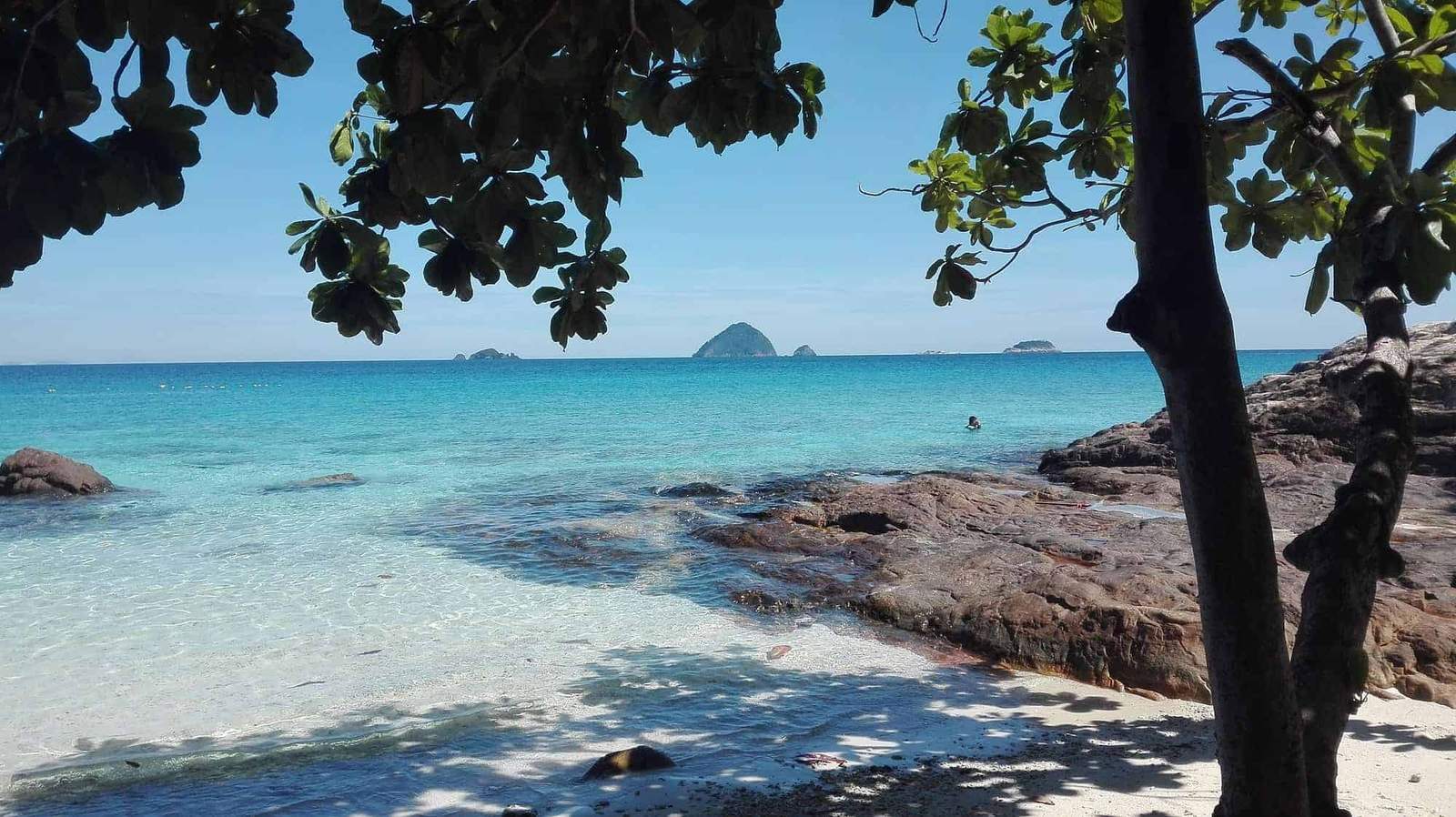 Borneo Island Travel Guide: Sabah, Sarawak, Orangutans and the Best Wildlife Journeys (2026)