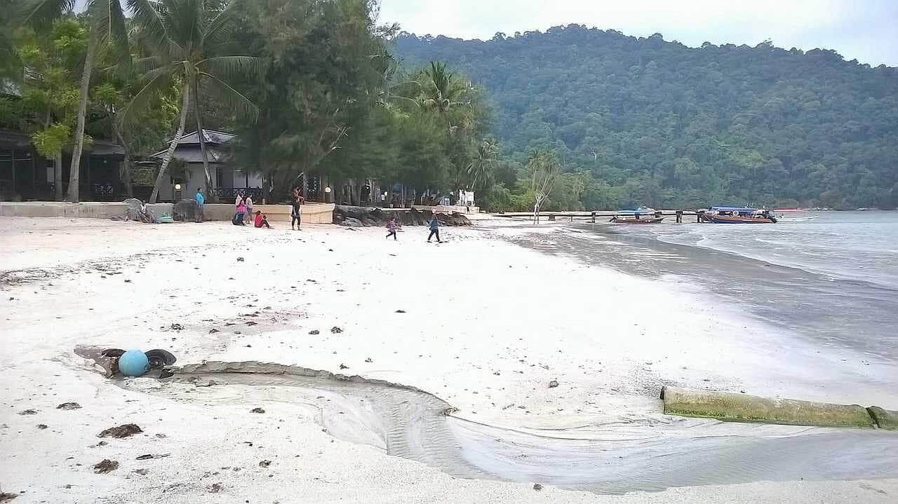 Beach with palm trees, white sand, and calm ocean waters in a tropical setting.