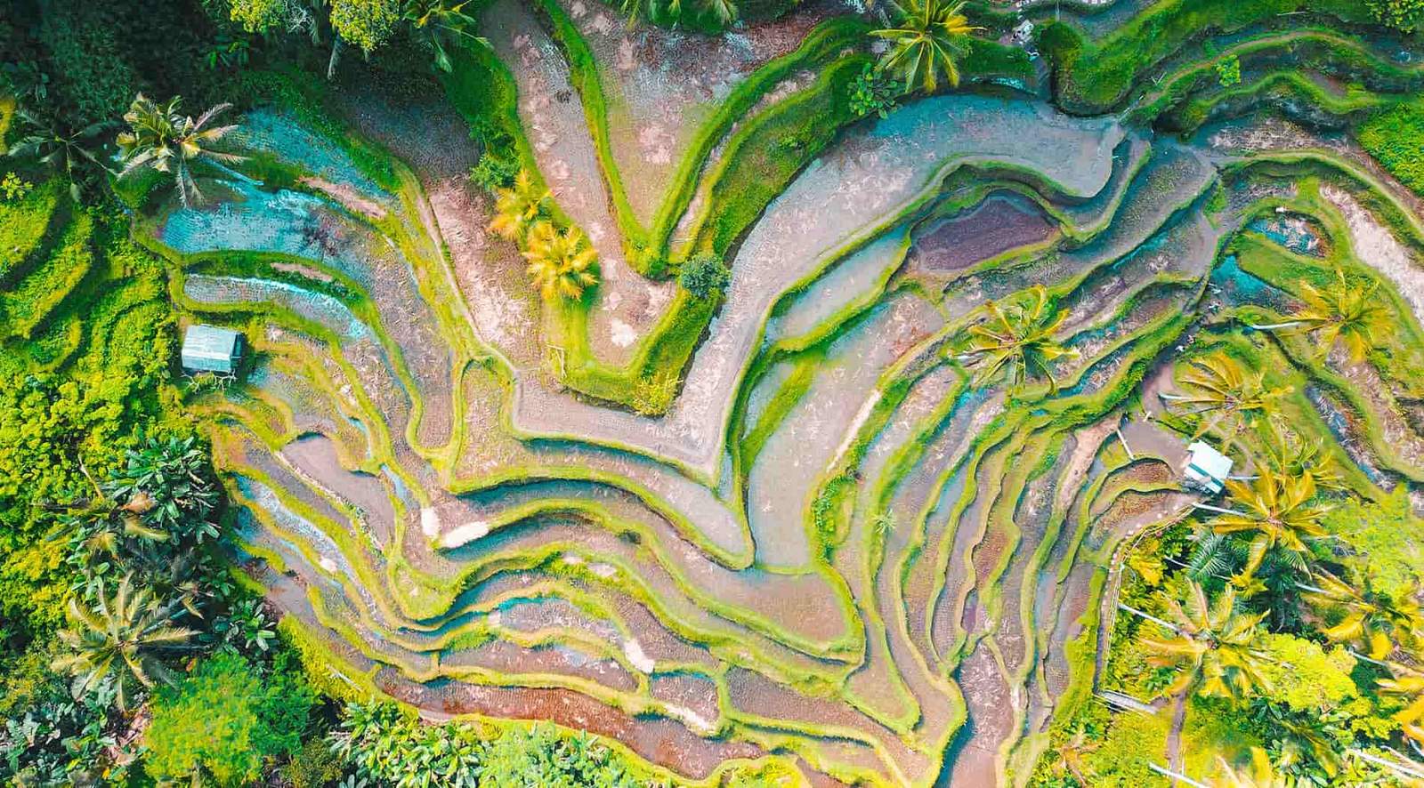 Bali Travel Itinerary: 7 and 10 Days (Ubud, the Coast and Nusa Penida)