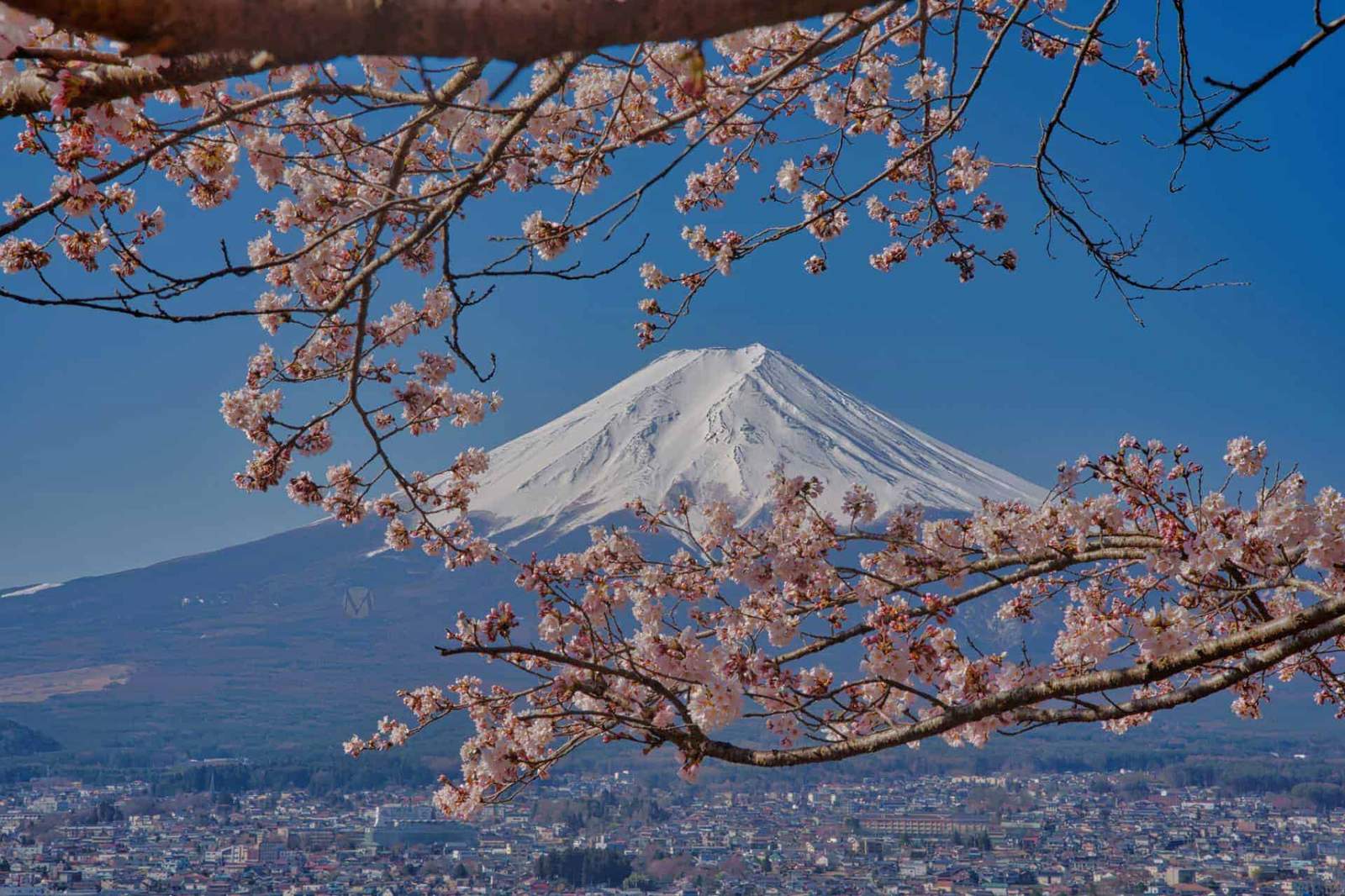 Japan family adventure