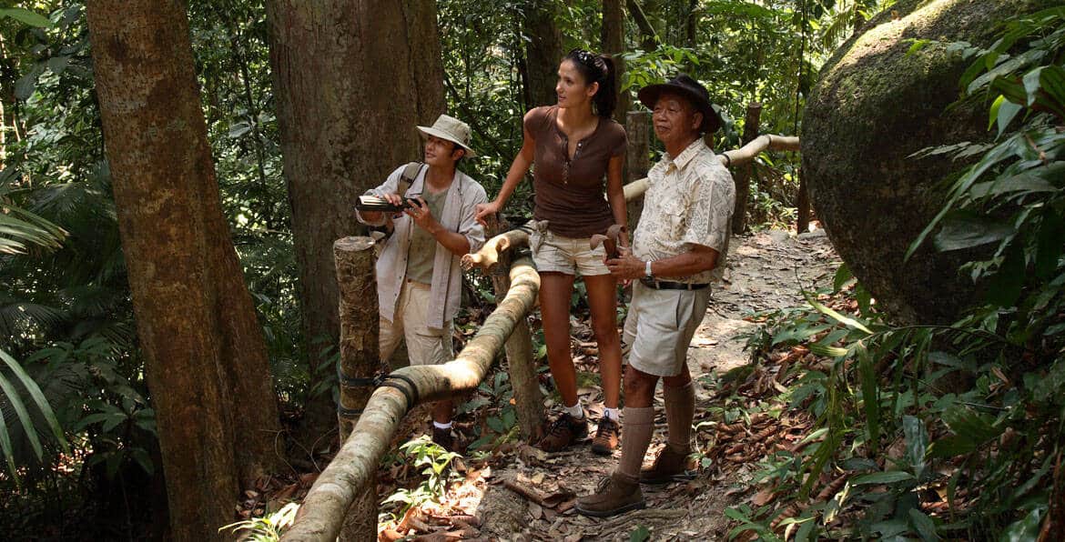 Sabah’s Jungles, Cities & Island Hideaway