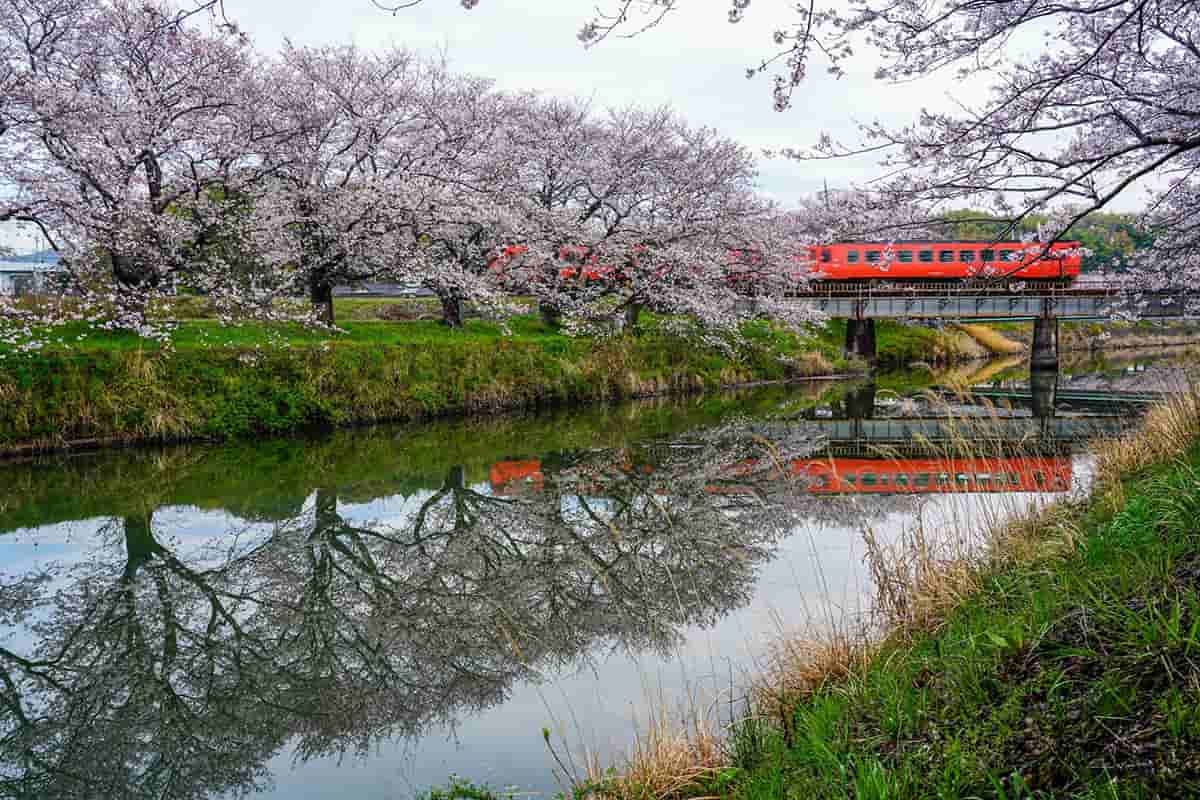Japan’s seasons: beyond cherry blossom