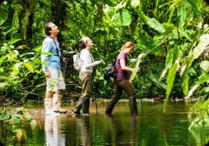 Best Time to Visit the Amazon