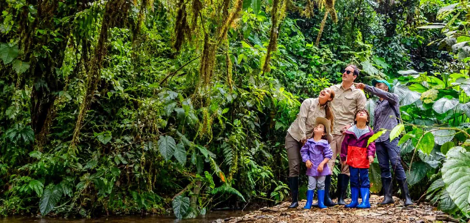 Amazon River Cruises
