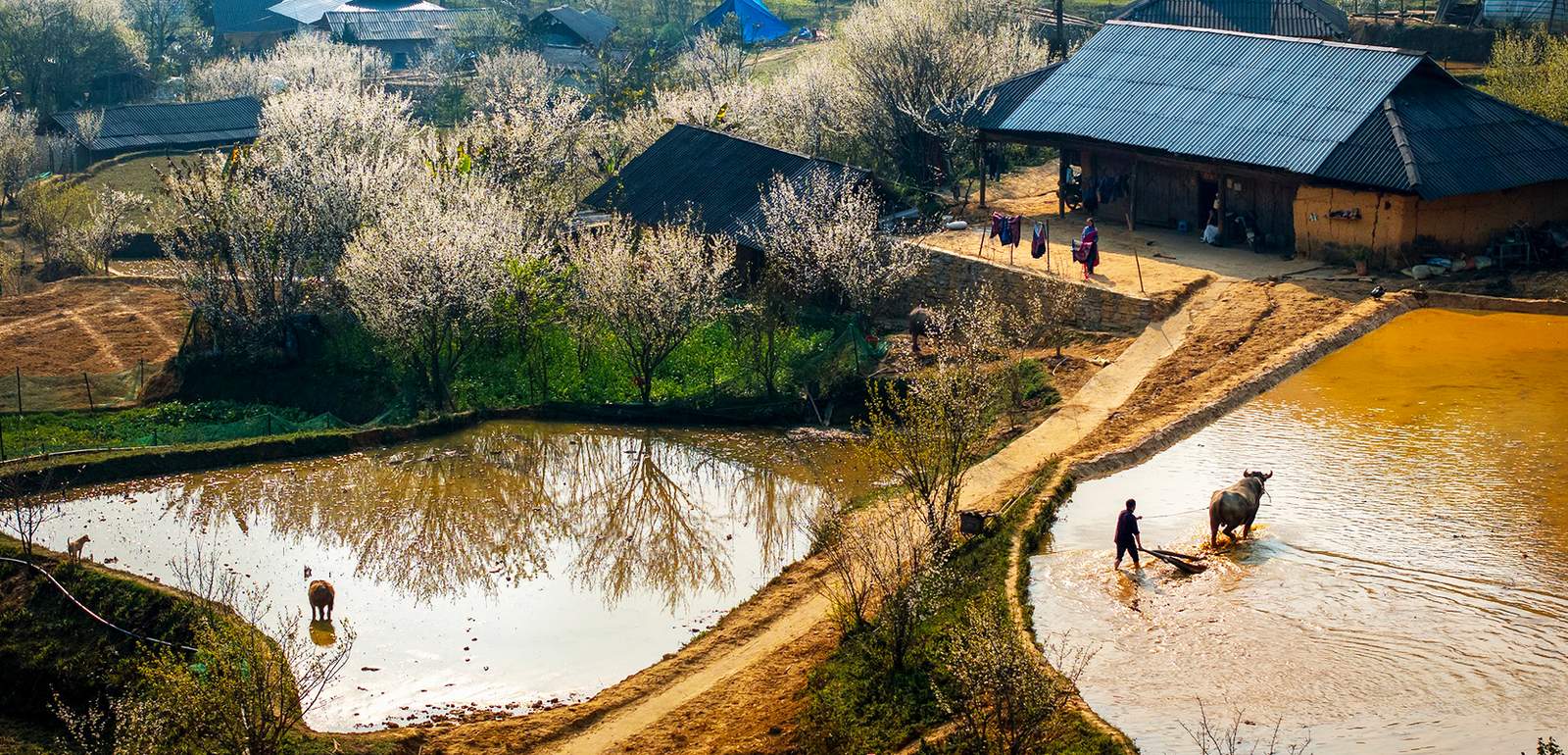 Northern Vietnam Discovery