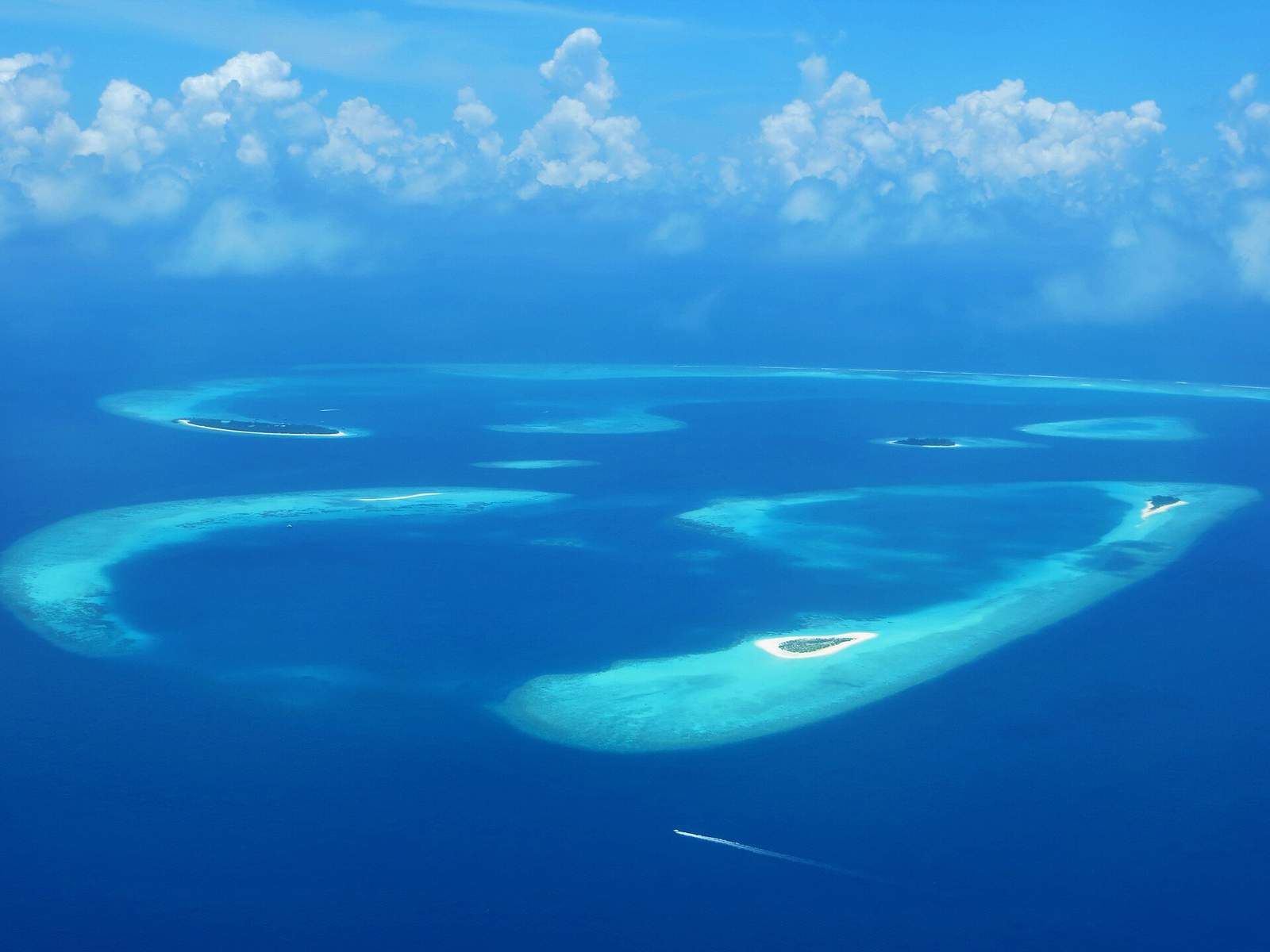 Experience Baa Atoll & Hanifaru Bay
