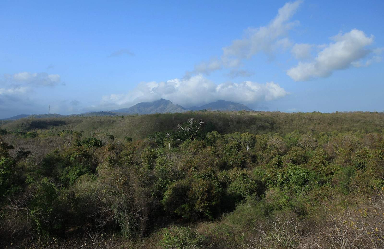 Indonesian Wildlife and Cultural Journey