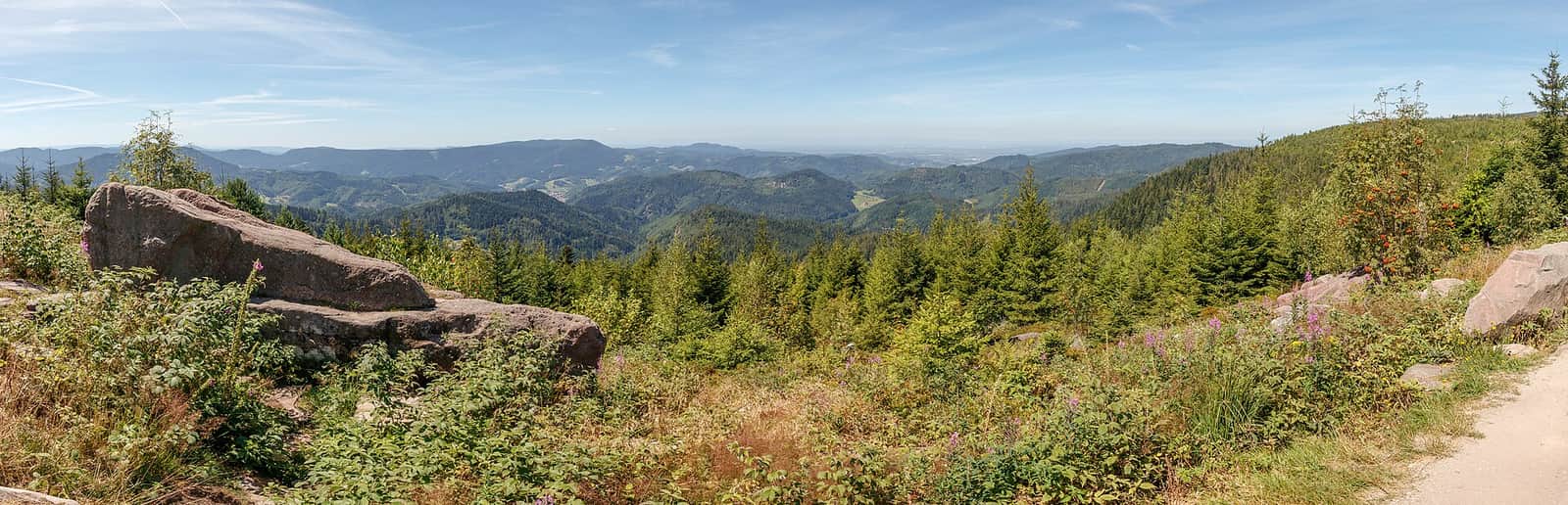 Experience Black Forest: Hiking, Villages and Scenic Routes