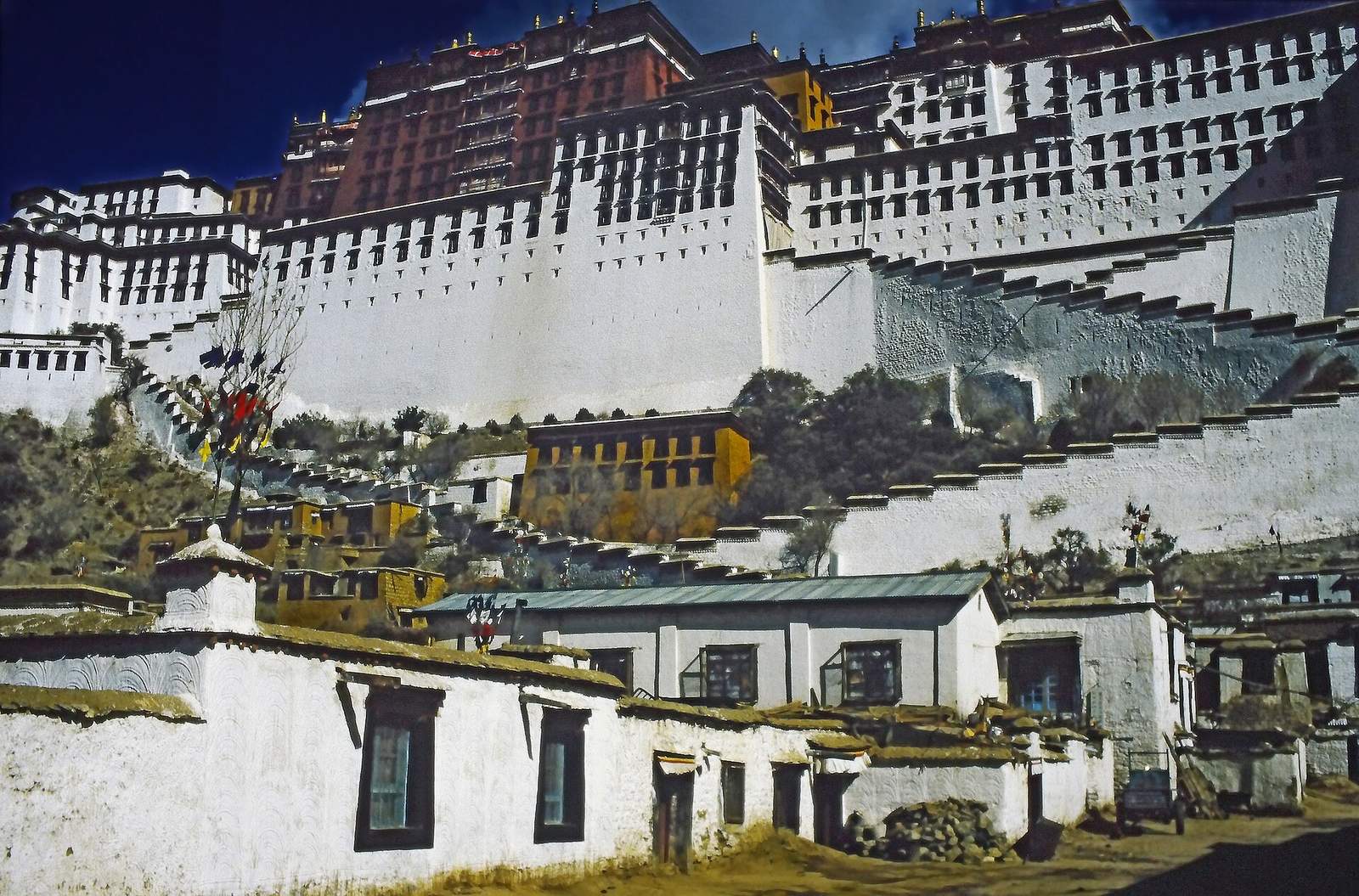 Experience Lhasa: Potala Palace, Jokhang and Acclimatization